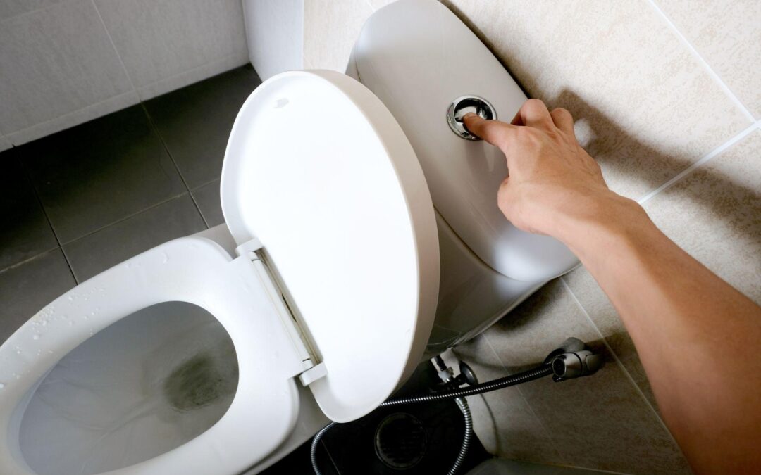 toilet-flush