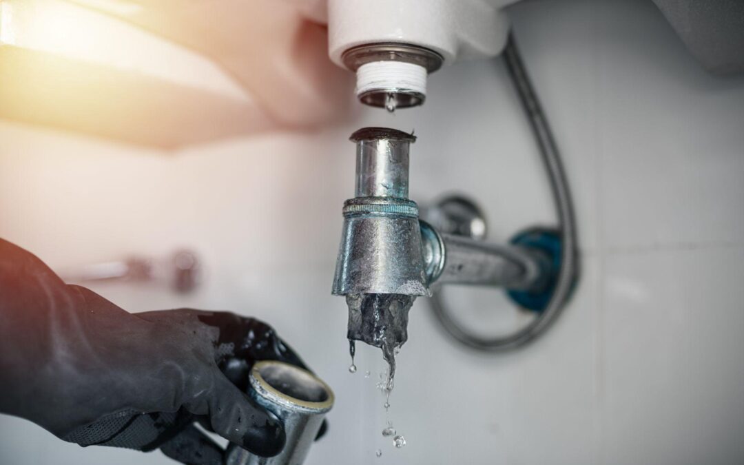 When to Call a Professional Plumber for Drain Problems