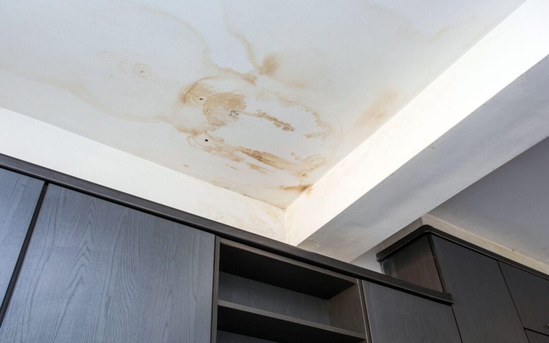 6 Signs of a Water Leak in Your Home