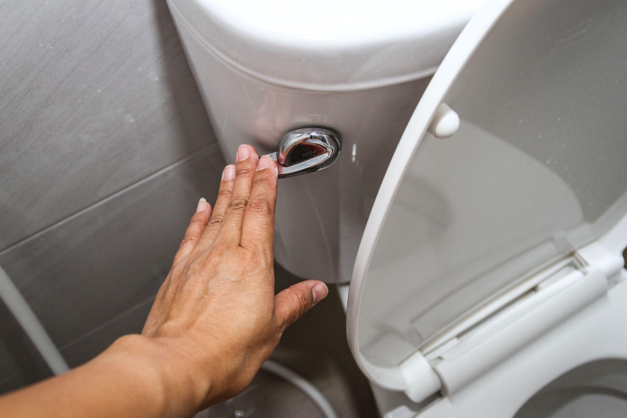 A hand flushing a toilet