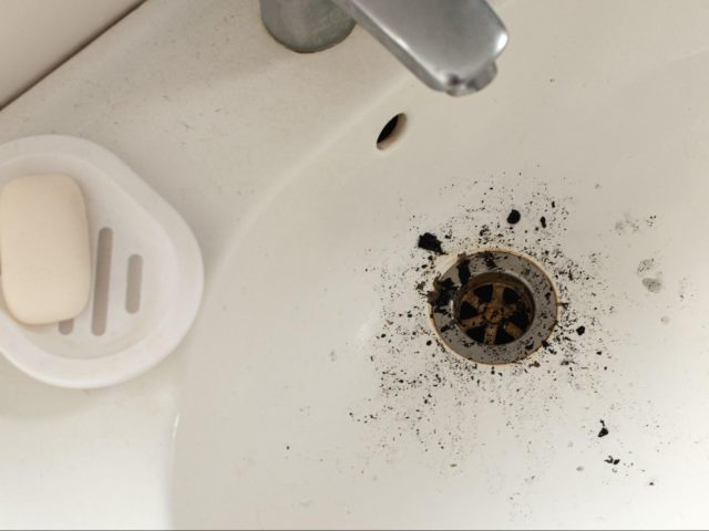 Signs You Need a Rooter Service