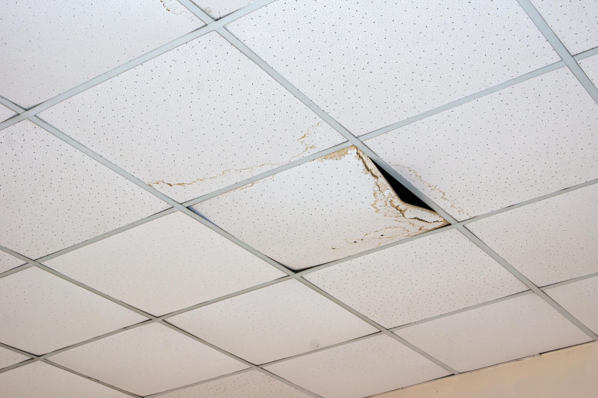 The Benefits of Early Leak Detection